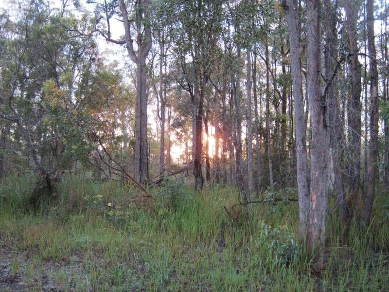 Lot 3 Florda Prince Drive, Wells Crossing NSW 2460