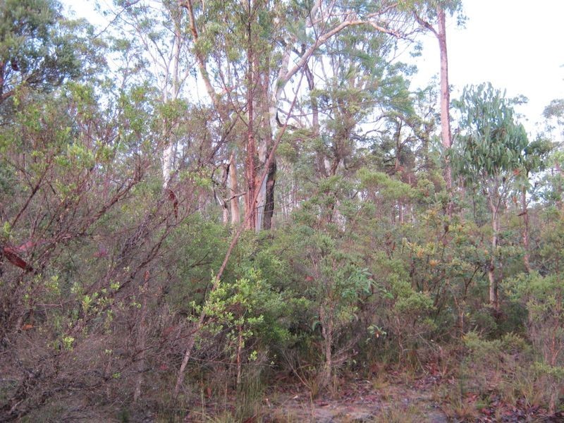 Lot 3 Florda Prince Drive, Wells Crossing NSW 2460