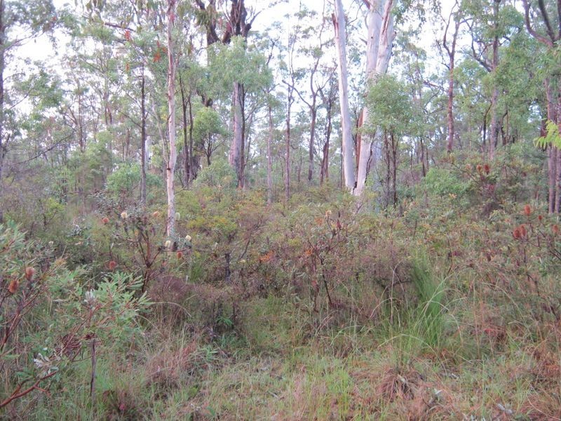 Lot 3 Florda Prince Drive, Wells Crossing NSW 2460