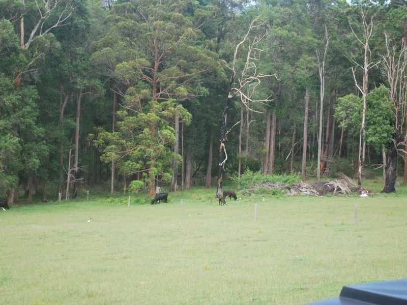 110 East Bonville Road, Bonville NSW 2441