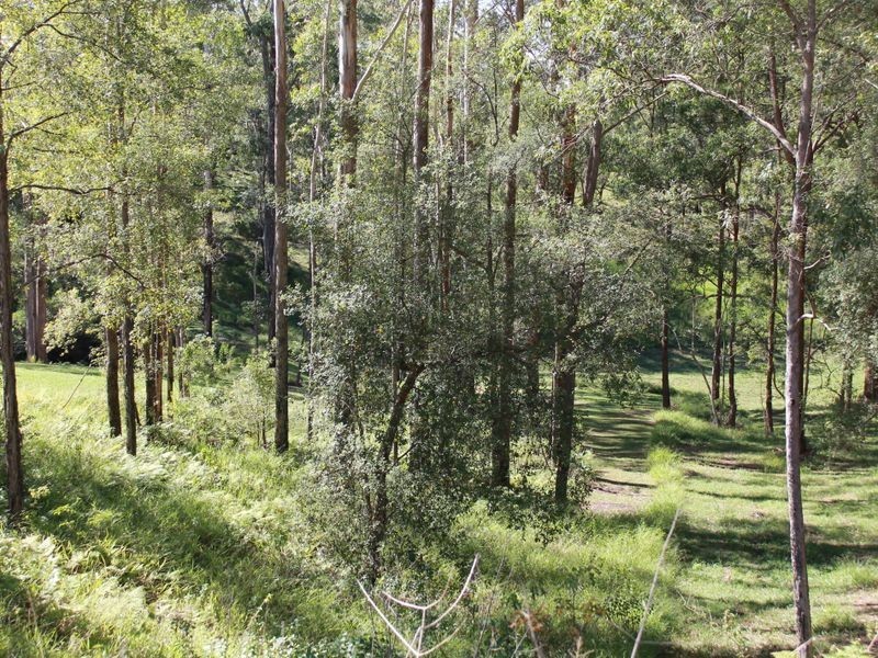 119 Old Pacific Hway, Raleigh NSW 2454