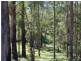 119 Old Pacific Hway, Raleigh NSW 2454