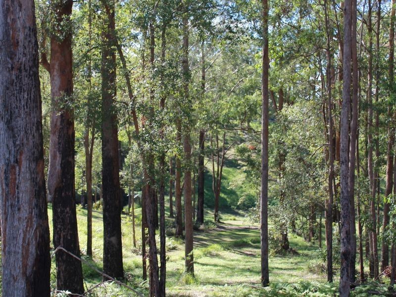 119 Old Pacific Hway, Raleigh NSW 2454