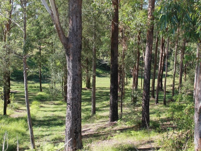 119 Old Pacific Hway, Raleigh NSW 2454
