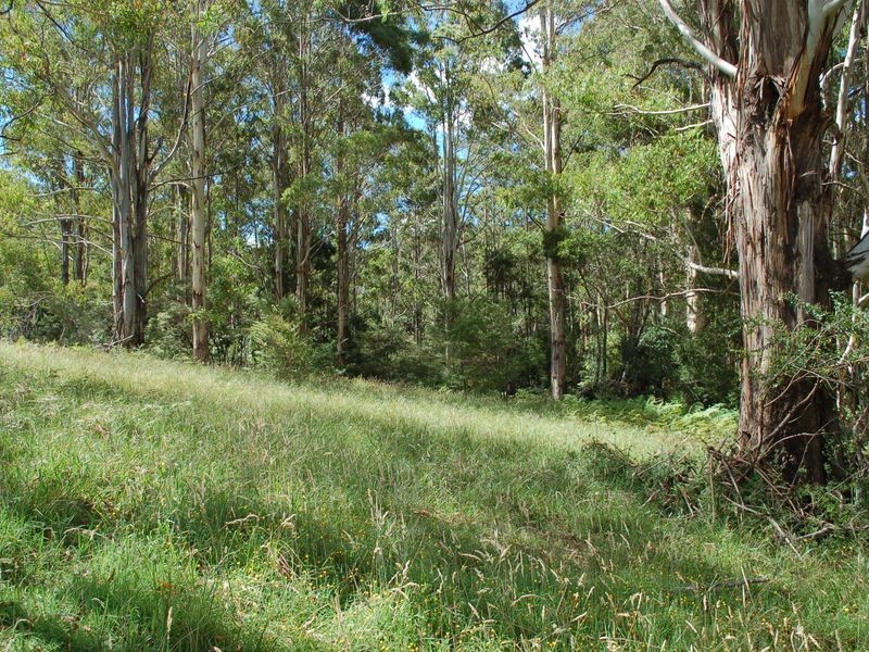 7/64 Prince Street, Coffs Harbour NSW 2450