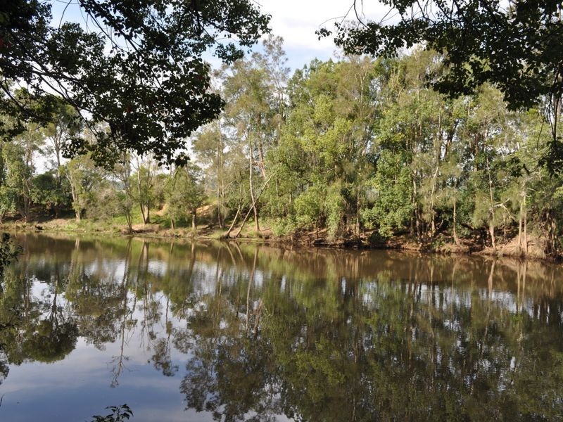 325 Upper Warrell Creek Road, Macksville NSW 2447