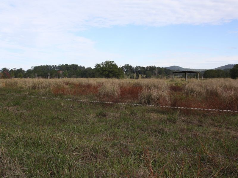 325 Upper Warrell Creek Road, Macksville NSW 2447