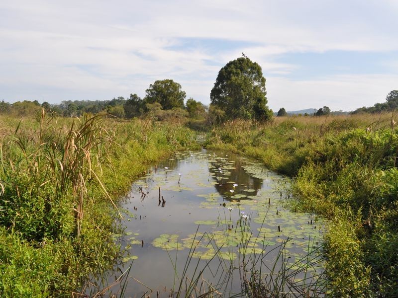 325 Upper Warrell Creek Road, Macksville NSW 2447