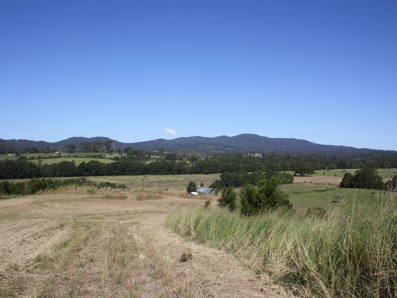 325 Upper Warrell Creek Road, Macksville NSW 2447