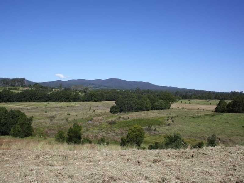 325 Upper Warrell Creek Road, Macksville NSW 2447