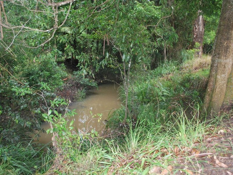 4648 Pacific Highway, Halfway Creek NSW 2460