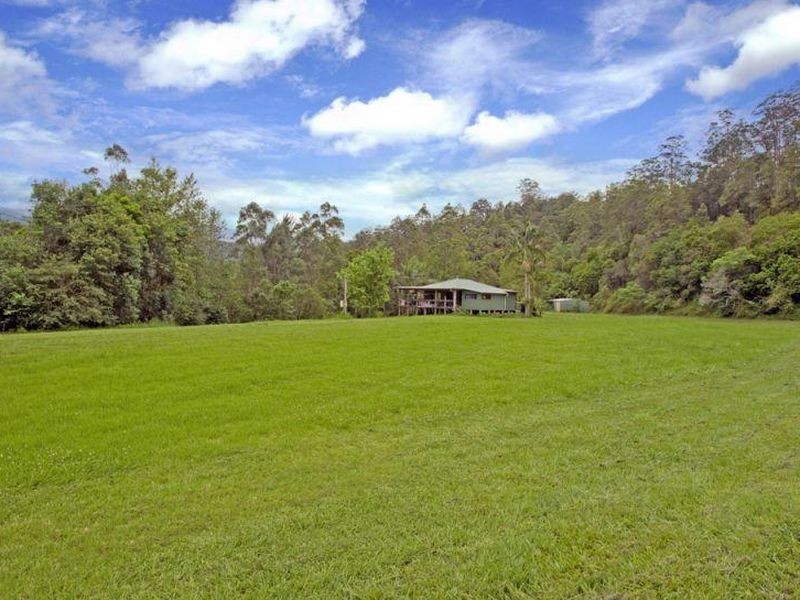 1951 Darkwood Road, Thora NSW 2454