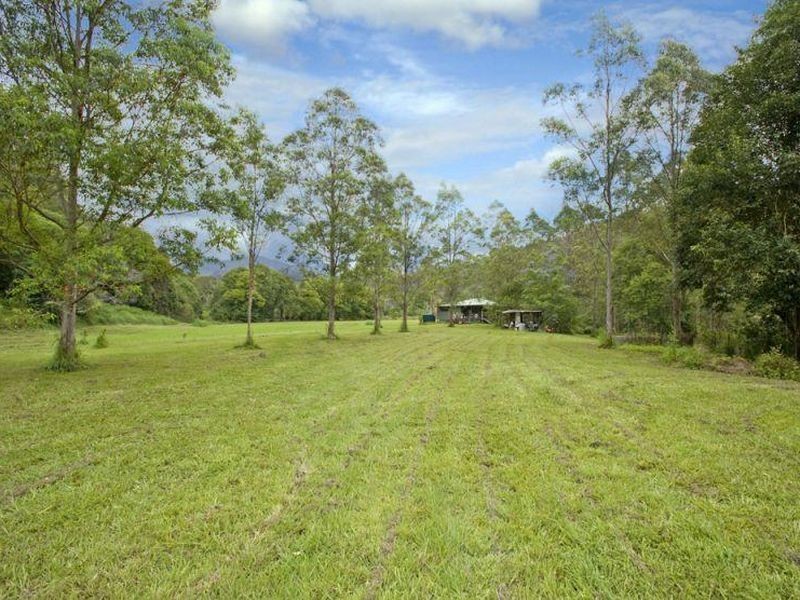 1951 Darkwood Road, Thora NSW 2454