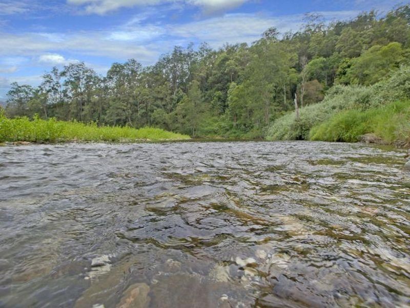 1951 Darkwood Road, Thora NSW 2454