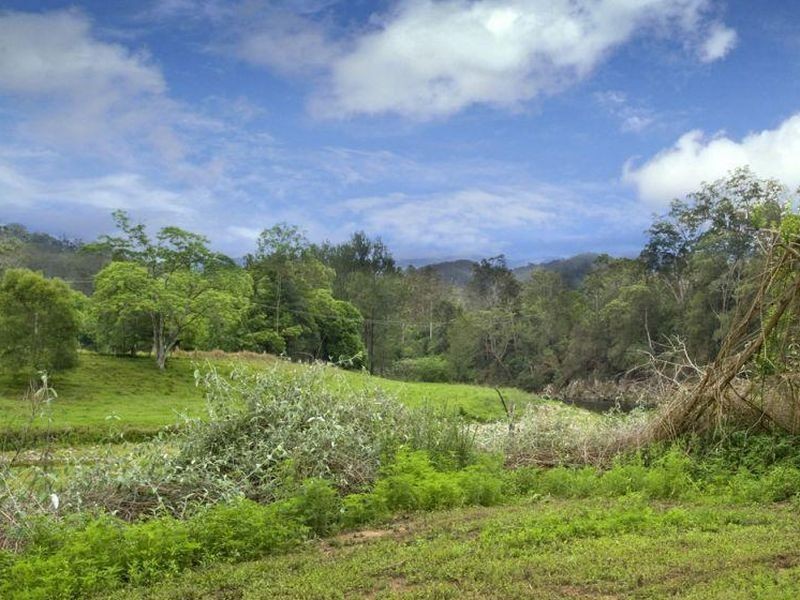 1951 Darkwood Road, Thora NSW 2454