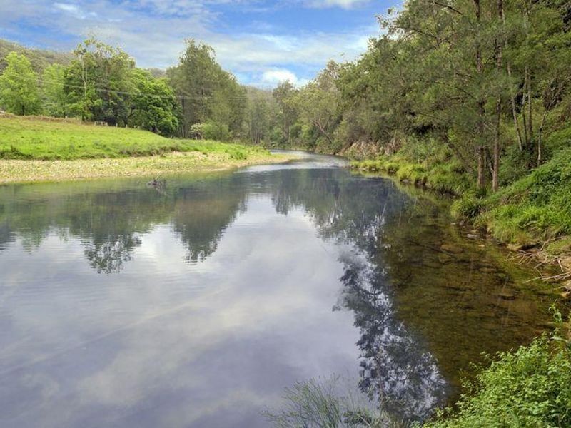 1951 Darkwood Road, Thora NSW 2454