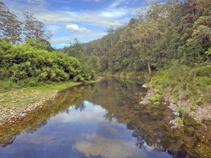 1951 Darkwood Road, Thora NSW 2454