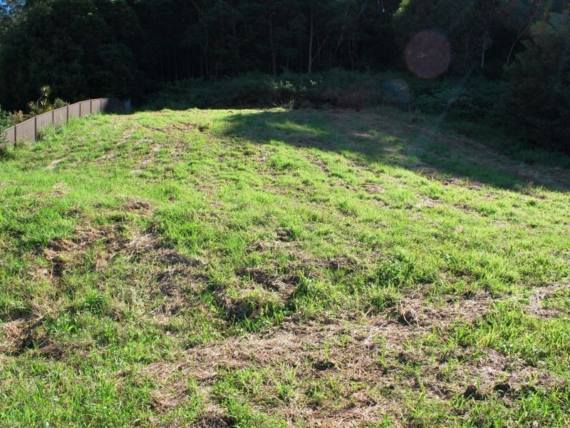 7 Gallagher Place, Coffs Harbour NSW 2450