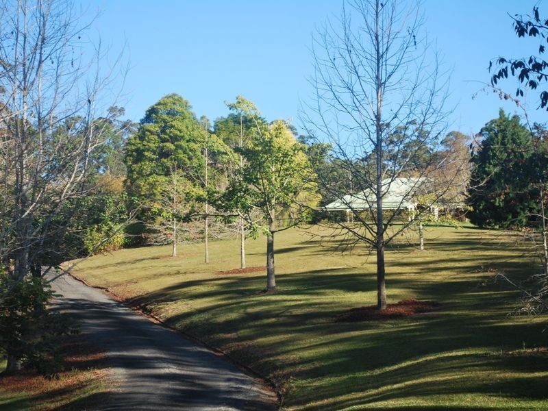 97 Mahers Road, Bellingen NSW 2454