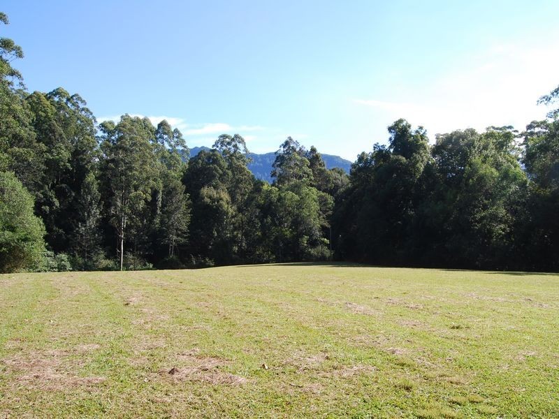 97 Mahers Road, Bellingen NSW 2454