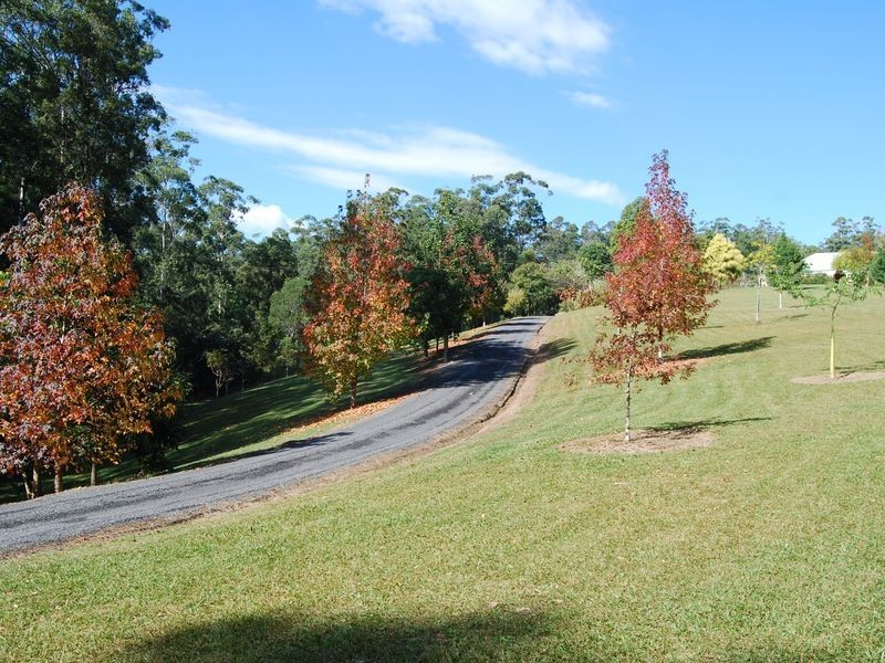 97 Mahers Road, Bellingen NSW 2454