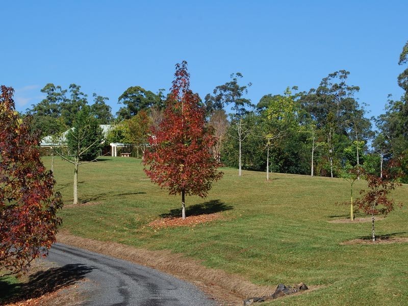 97 Mahers Road, Bellingen NSW 2454