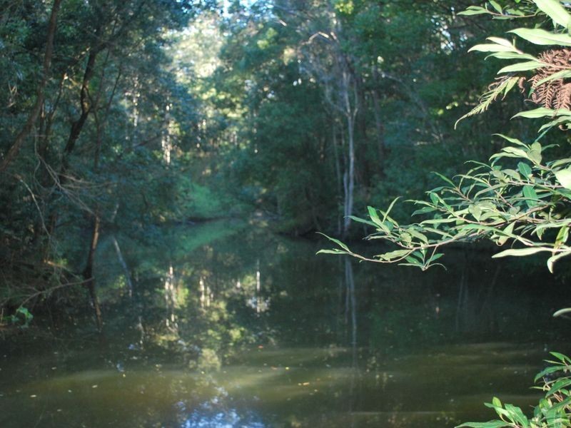 97 Mahers Road, Bellingen NSW 2454