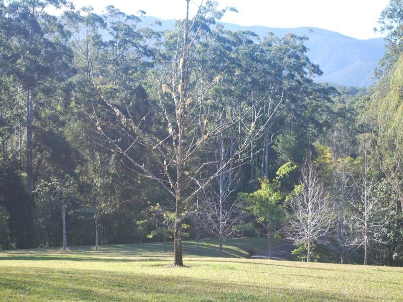 97 Mahers Road, Bellingen NSW 2454