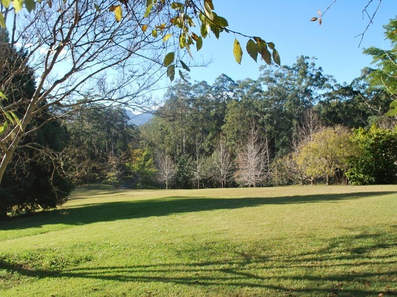 97 Mahers Road, Bellingen NSW 2454