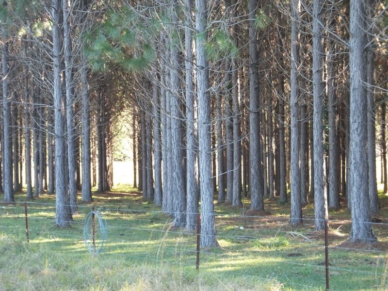 394 Omega Drive, Kungala NSW 2460