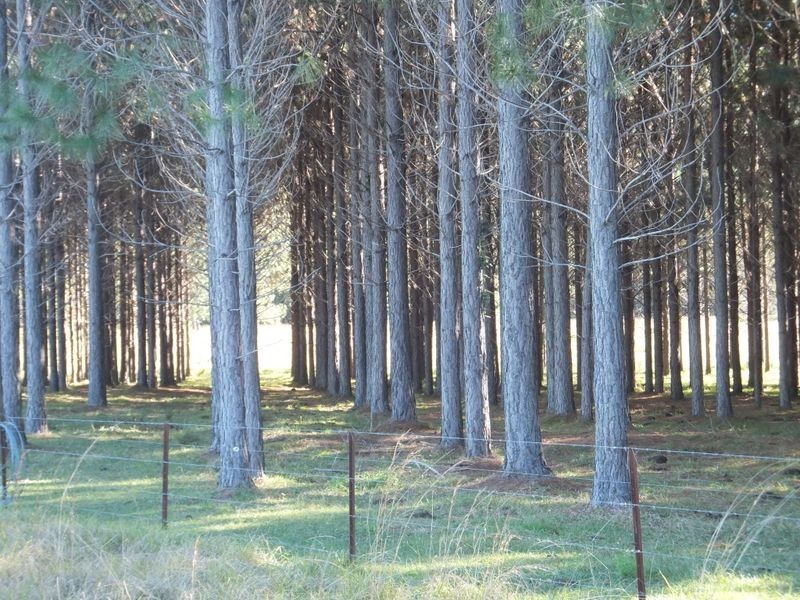 394 Omega Drive, Kungala NSW 2460