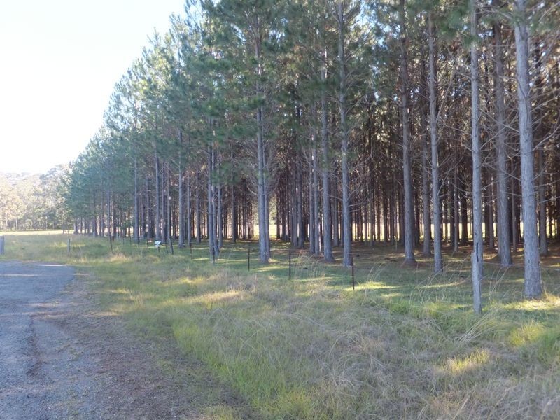 394 Omega Drive, Kungala NSW 2460