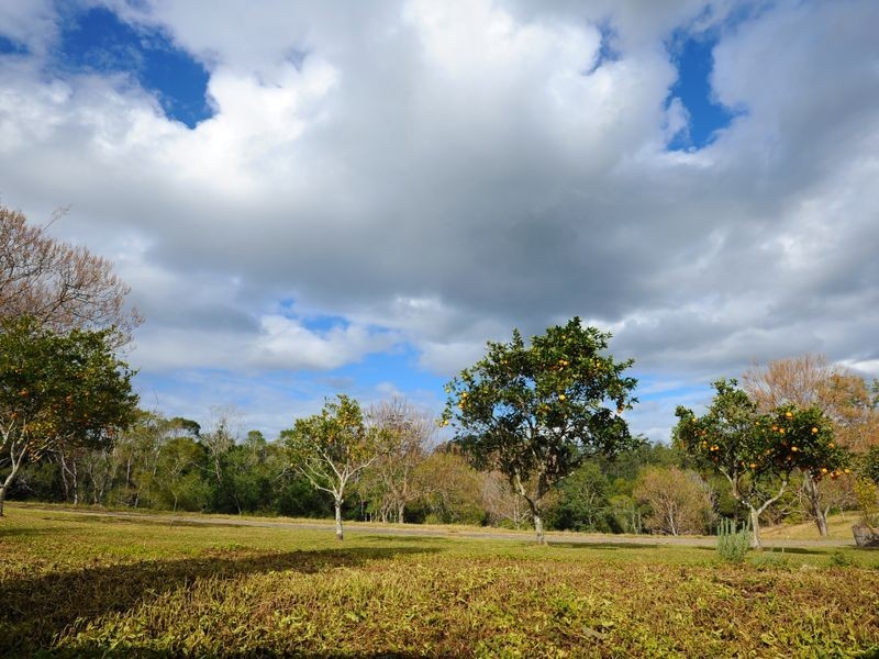 51 John Locke Place, Coffs Harbour NSW 2450