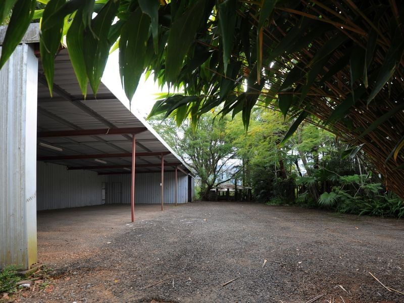 51 John Locke Place, Coffs Harbour NSW 2450