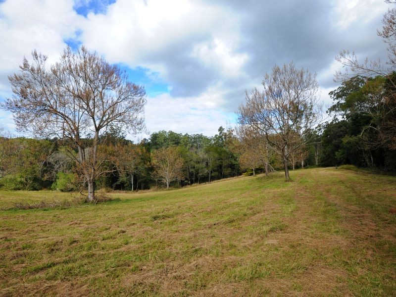 51 John Locke Place, Coffs Harbour NSW 2450