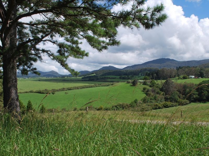 157 Upper Bobo Road, Brooklana NSW 2450