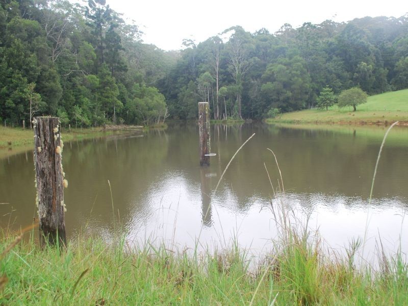 157 Upper Bobo Road, Brooklana NSW 2450