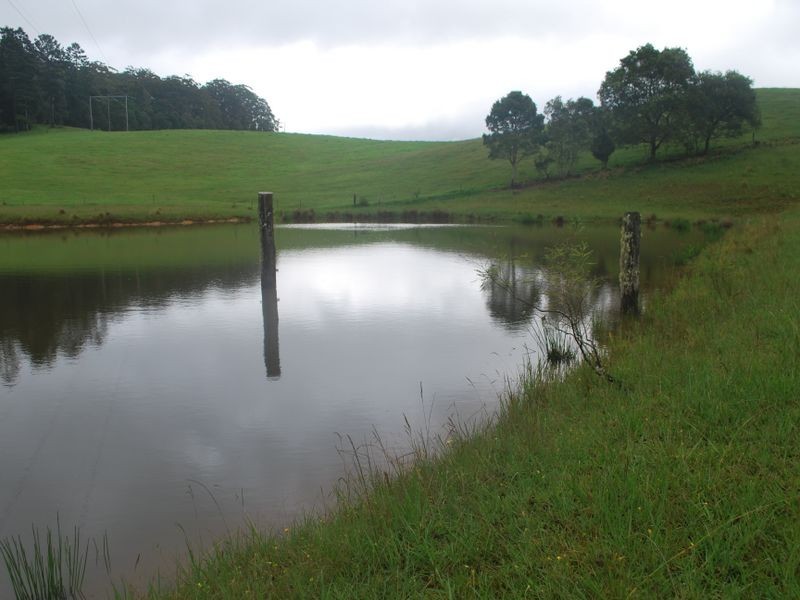 157 Upper Bobo Road, Brooklana NSW 2450