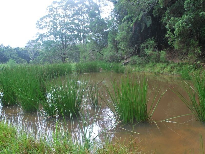 157 Upper Bobo Road, Brooklana NSW 2450