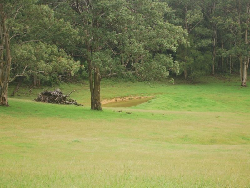 157 Upper Bobo Road, Brooklana NSW 2450