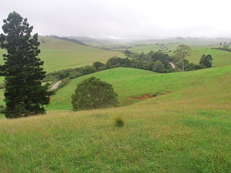 157 Upper Bobo Road, Brooklana NSW 2450