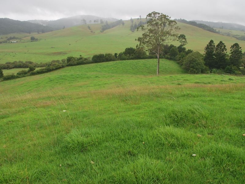 157 Upper Bobo Road, Brooklana NSW 2450