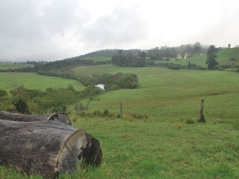 157 Upper Bobo Road, Brooklana NSW 2450