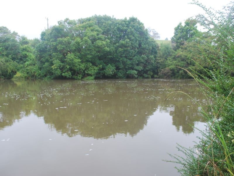 157 Upper Bobo Road, Brooklana NSW 2450