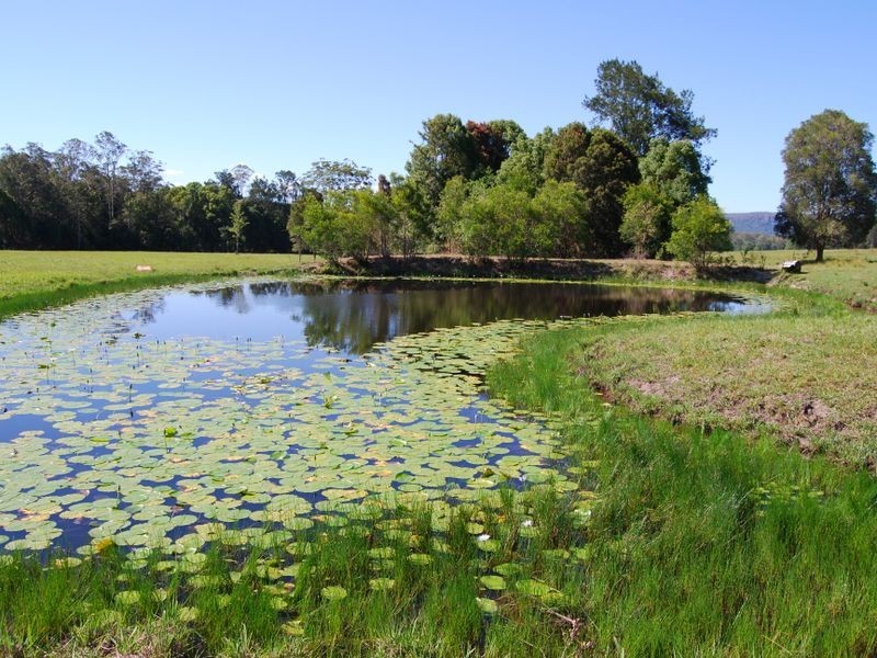 1259 Orara Way, Nana Glen NSW 2450