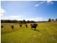 1259 Orara Way, Nana Glen NSW 2450