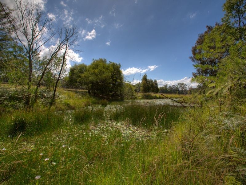 1259 Orara Way, Nana Glen NSW 2450