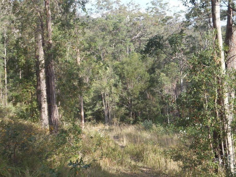 Lot 13 Nottingham Drive, Glenreagh NSW 2450