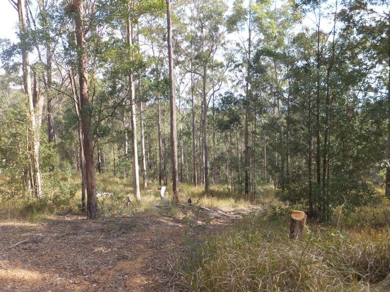 Lot 13 Nottingham Drive, Glenreagh NSW 2450