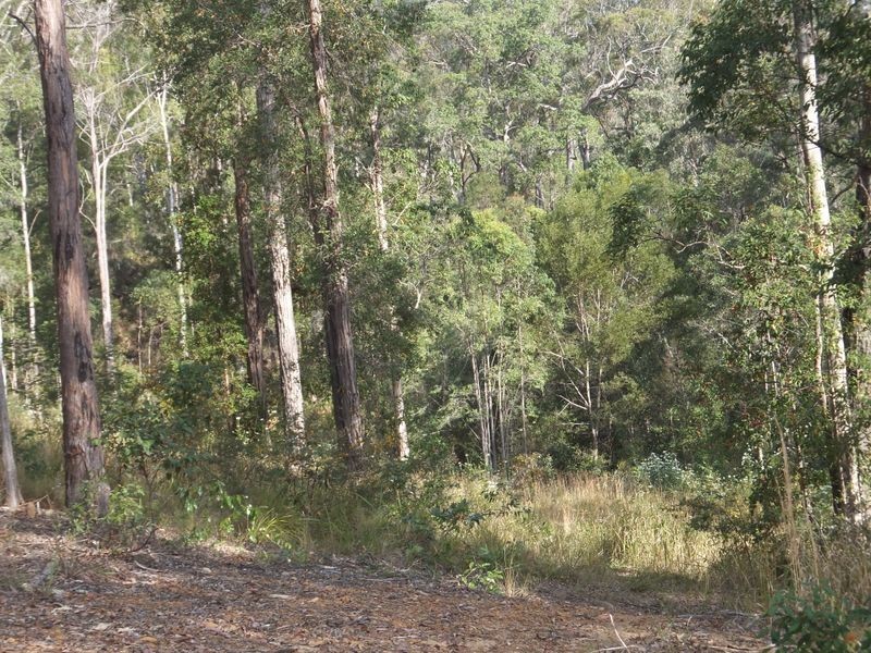 Lot 13 Nottingham Drive, Glenreagh NSW 2450